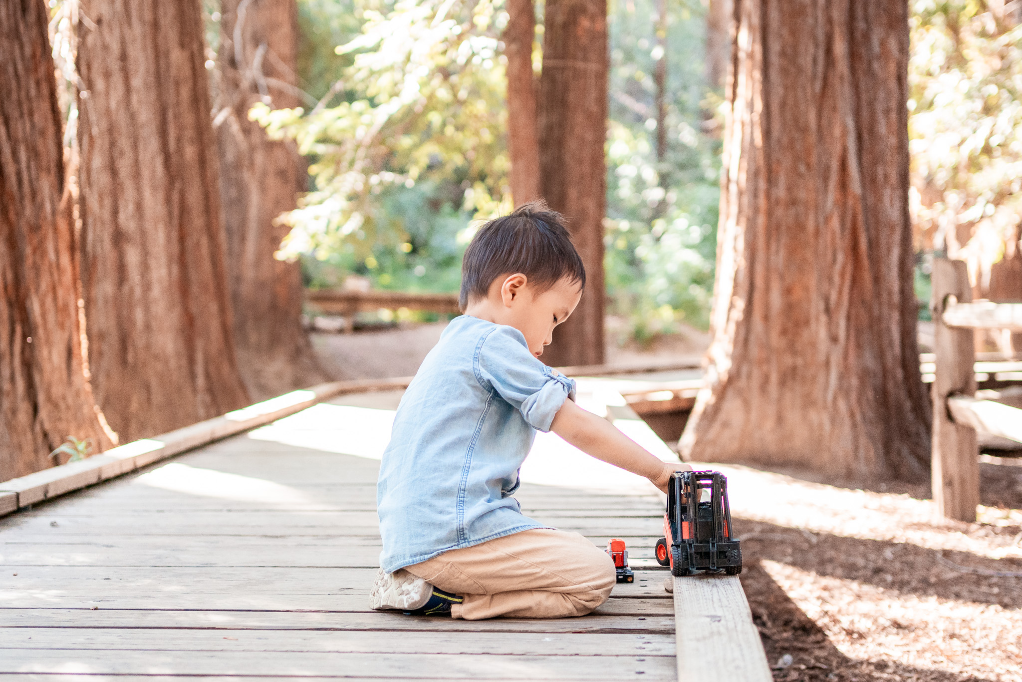 boy playing with toy truck in the redwoods
