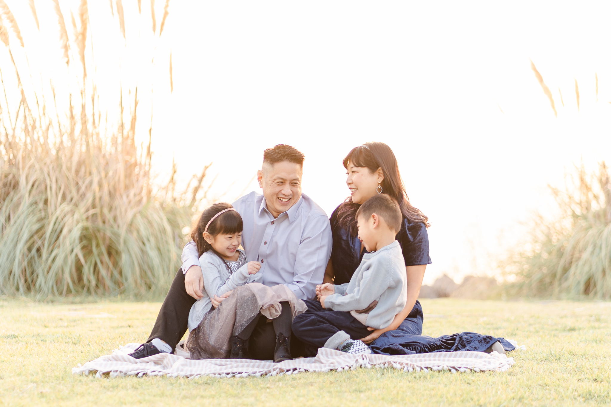 A family of four sitting on the grass in Alameda and laughing together