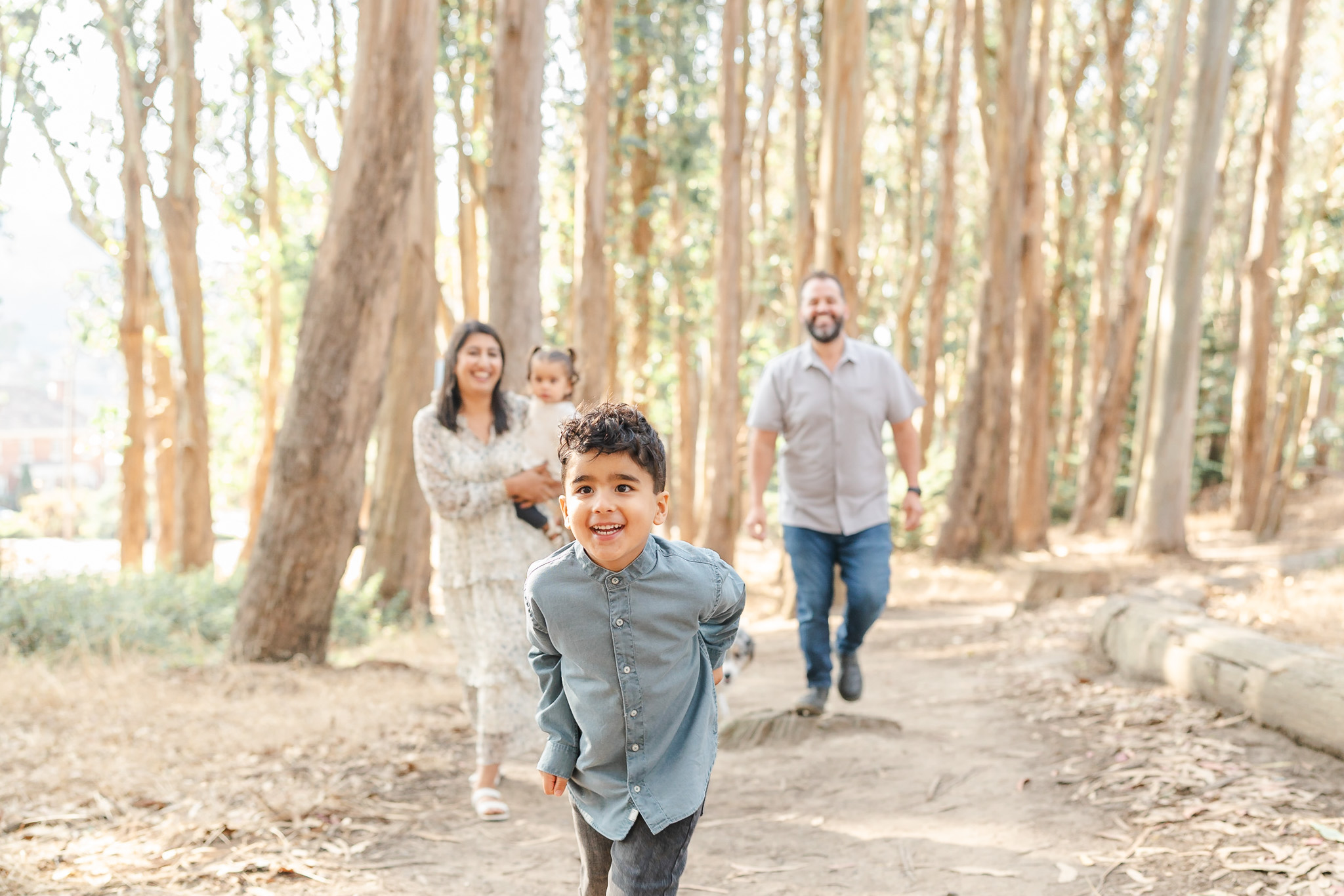 family of four walking through a eucalyptus grove